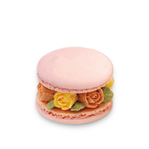baking curriculum